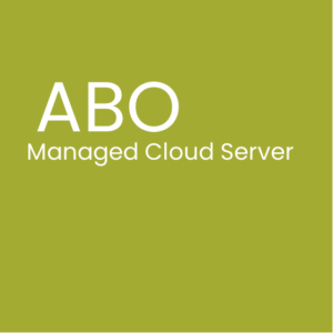 Managed Cloud Server